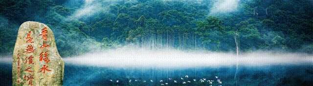1668048821224973.gif