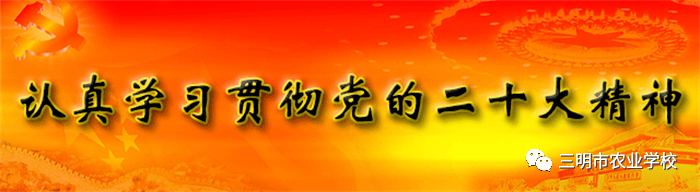1698581838470096.png