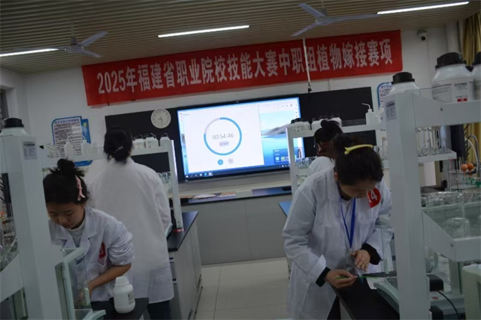 比赛2.jpg